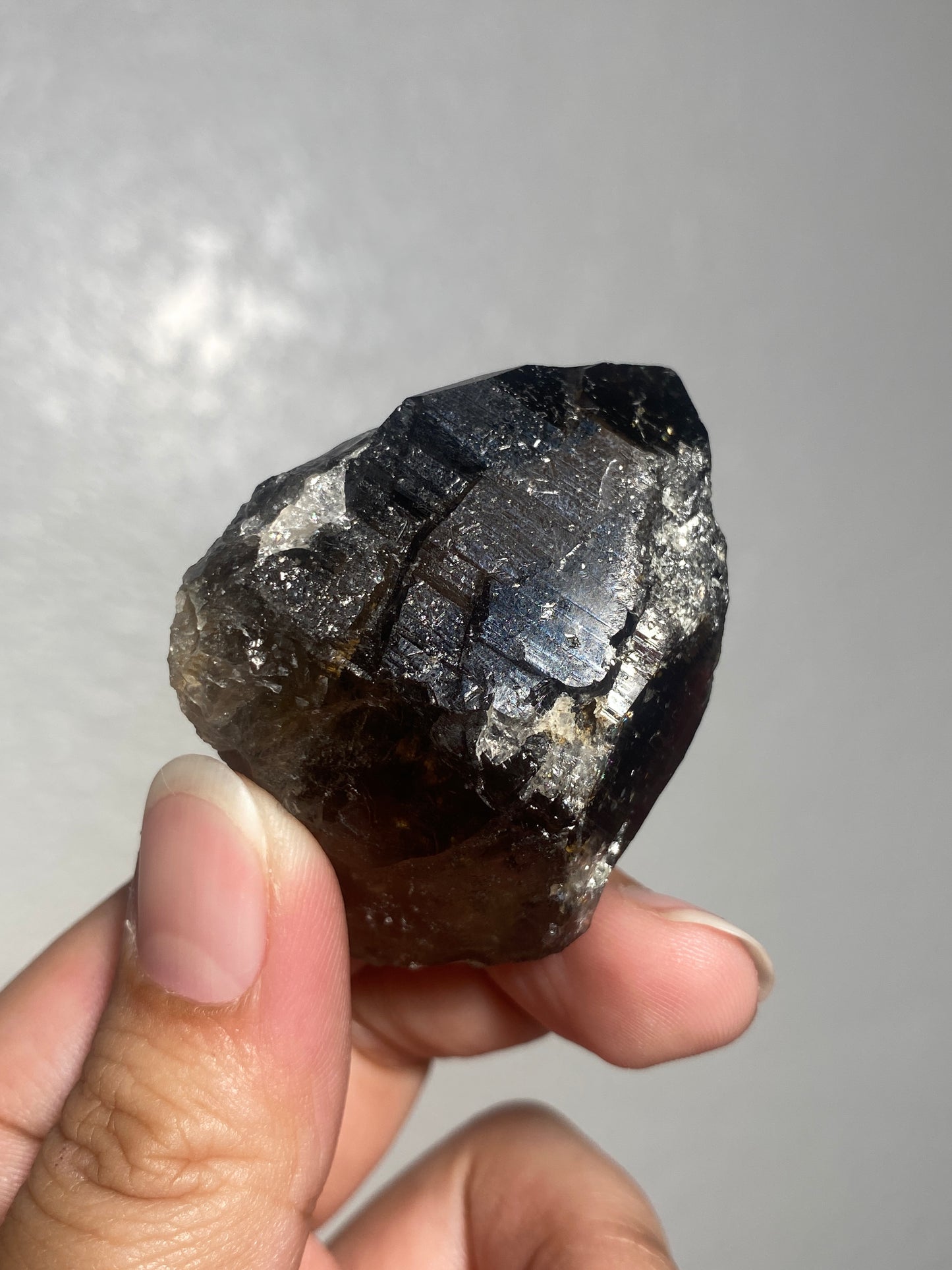 Turkish Morion Quartz with Lodolite Inclusions