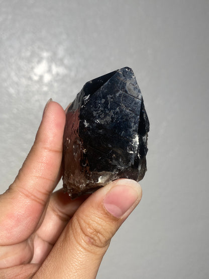 Turkish Morion Quartz