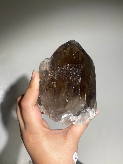 Self-Standing Turkish Morion Quartz Elestial Back with Mica Base