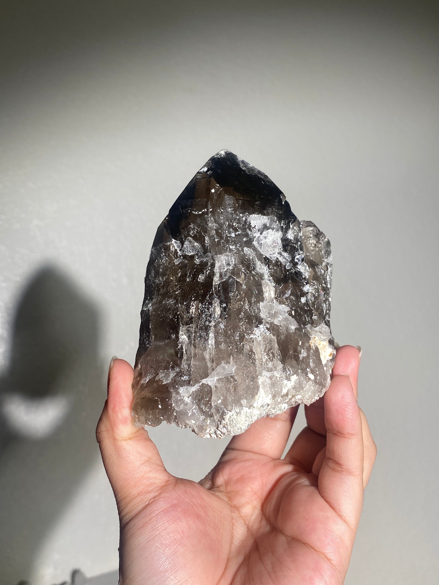 Self-Standing Turkish Morion Quartz Elestial Back with Mica Base