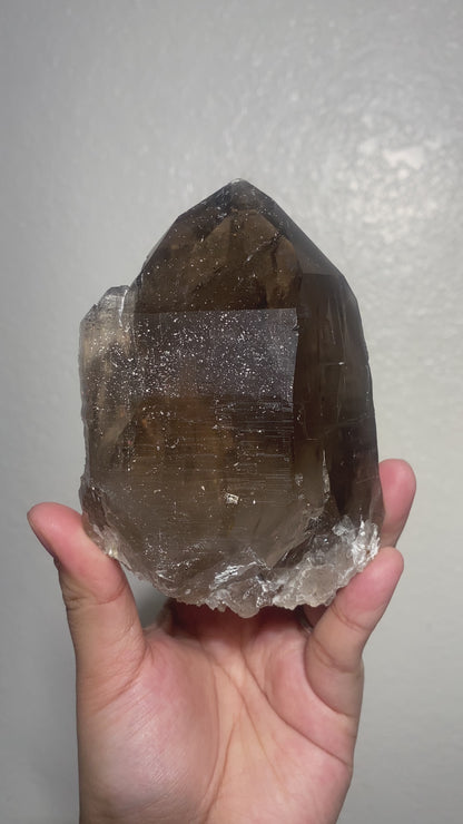 Self-Standing Turkish Morion Quartz Elestial Back with Mica Base
